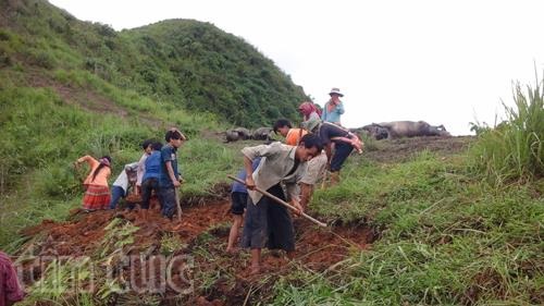 Đàn trâu 19 con tại Hà Giang chết do sét đánh - 1 Đàn trâu 19 con tại Hà Giang chết do sét đánh - 1