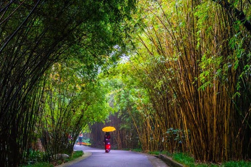 Cửu Trại Câu, Nga My Sơn trong mắt ai... - 12 Cửu Trại Câu, Nga My Sơn trong mắt ai... - 12