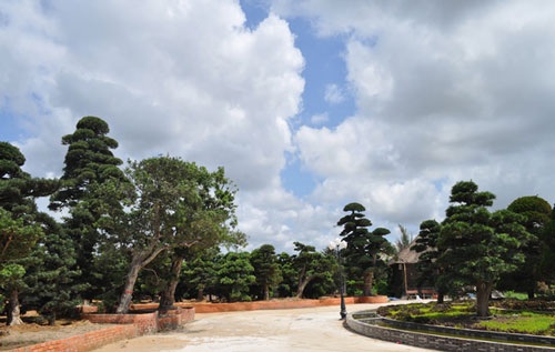 dinh thự, biệt thự, lâu đài, đại gia, đại gia tỉnh lẻ dinh thự, biệt thự, lâu đài, đại gia, đại gia tỉnh lẻ