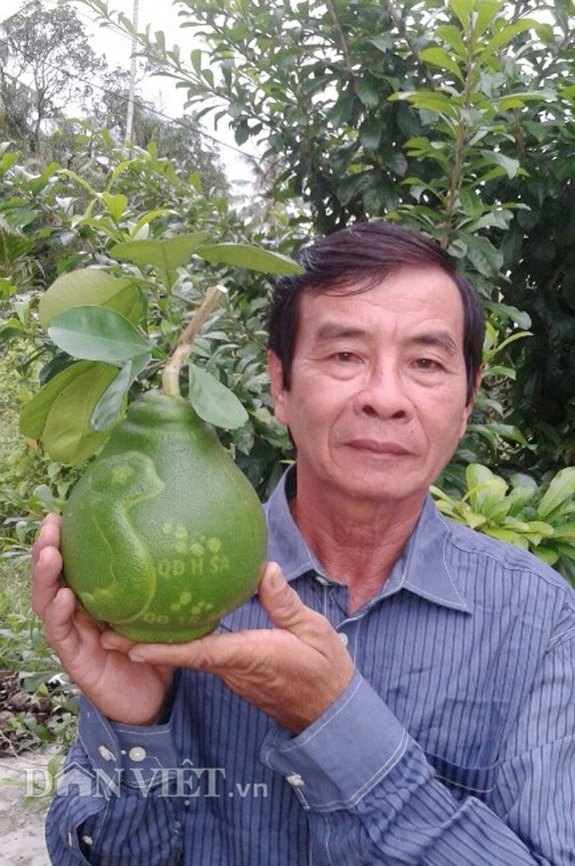 Bưởi tạo hình bản đồ Việt Nam tiền triệu được đặt hàng sớm - 3 Bưởi tạo hình bản đồ Việt Nam tiền triệu được đặt hàng sớm - 3