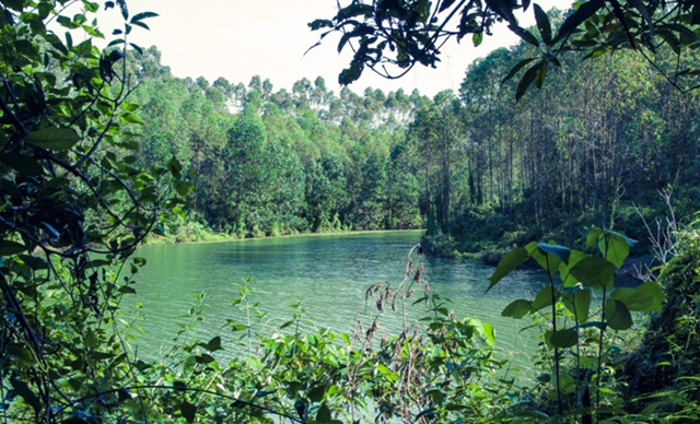 Chiêm ngưỡng công viên nghĩa trang 5 sao Thiên Đức Vĩnh Hằng Viên - 5 Chiêm ngưỡng công viên nghĩa trang 5 sao Thiên Đức Vĩnh Hằng Viên - 5