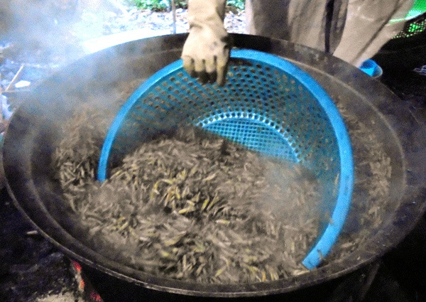 châu chấu, cấu chấu, Hà Nội, Nghệ An, Thanh Hóa, Lê Thanh, quạt chấu, con đường châu chấu, châu-chấu, Hà-Nội, Nghệ-An, Thanh-Hóa, Lê-Thanh, quạt-chấu, con-đường-châu-chấu, cấu-chấu châu chấu, cấu chấu, Hà Nội, Nghệ An, Thanh Hóa, Lê Thanh, quạt chấu, con đường châu chấu, châu-chấu, Hà-Nội, Nghệ-An, Thanh-Hóa, Lê-Thanh, quạt-chấu, con-đường-châu-chấu, cấu-chấu