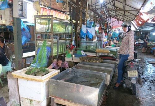 mất nước, nước sinh hoạt, nước giếng khoan mất nước, nước sinh hoạt, nước giếng khoan