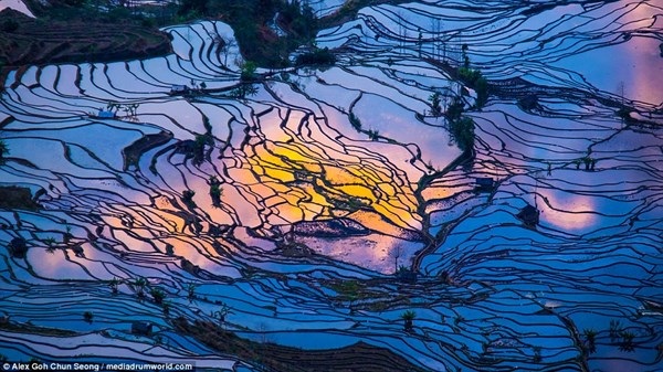 Ruộng bậc thang mùa nước đổ ở Trung Quốc đẹp như tranh - 4 Ruộng bậc thang mùa nước đổ ở Trung Quốc đẹp như tranh - 4