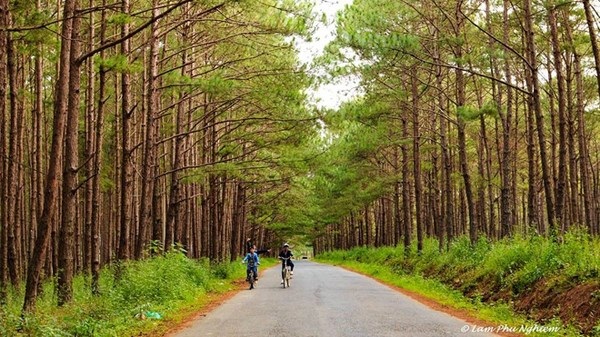 Mê mẩn phượt thung lũng Dran, Lâm Đồng ngày gió lạnh - 4