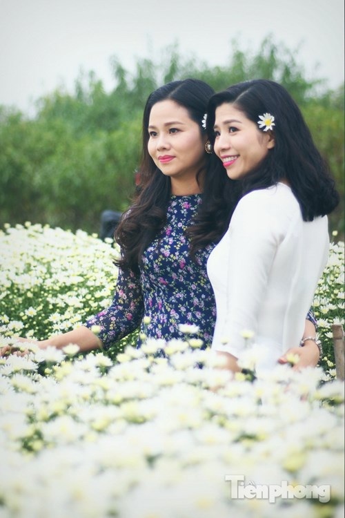 Ngắm thiếu nữ Hà thành đẹp mong manh bên cúc họa mi - 5