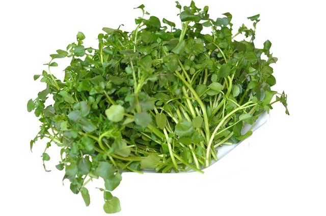 
Cải xoong: là loại cây thủy sinh và bán thủy sinh, có vị thơm và ngọt riêng biệt.
