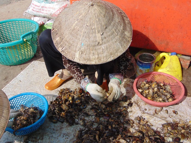 - 6 dac san cua dong mua nuoc noi gia cao van