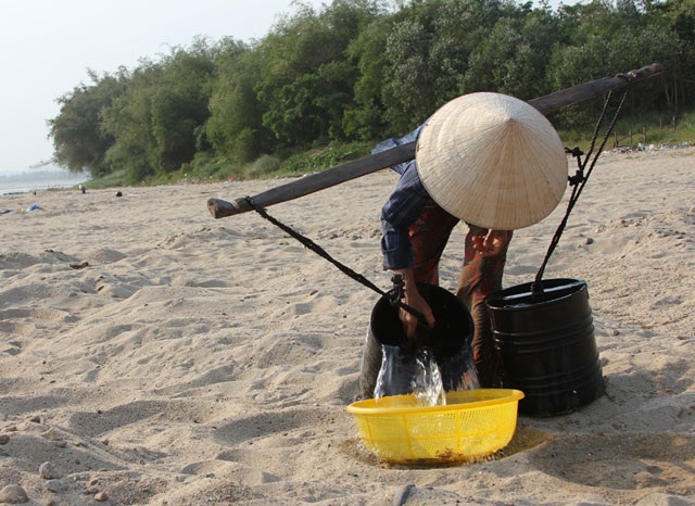 Cánh đồng "khủng" ươm giá sạch bên bờ Trà Khúc - 7
Tưới nước để tạo độ ẩm cho đậu xanh nẩy mầm.