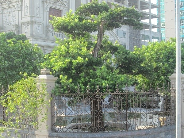 Choáng với dinh thự "vô tiền khoáng hậu" của đại gia Hà Nam - 7 dinh thu