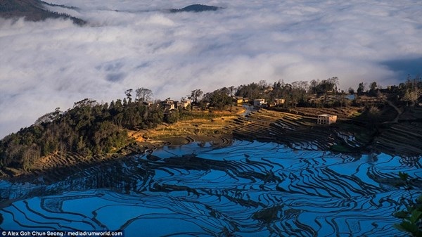 Ruộng bậc thang mùa nước đổ ở Trung Quốc đẹp như tranh - 8 Ruộng bậc thang mùa nước đổ ở Trung Quốc đẹp như tranh - 8