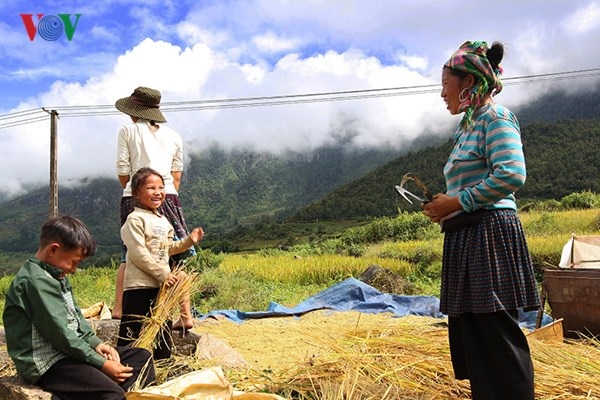 Mùa gặt nơi vùng biên Y Tý - 8 Mùa gặt nơi vùng biên Y Tý - 8