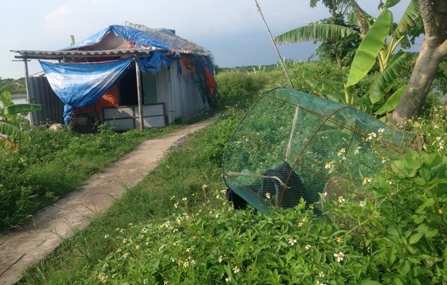 Đoàn Văn Vươn, Đoàn Văn Quý được mãn hạn trước thời hạn, những người thân đang hồi hộp chời đợi giây phút cả gia đình sum họp. Và sự hồi sinh của khu đầm rộng 36ha này, chắc chắn chỉ là vấn đề thời gian.