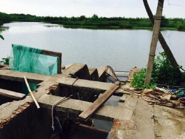 Cống Rộc, điểm tưới - tiêu điều hòa nguồn nước cho khu đầm rồng 36ha của anh em Đoàn Văn Vươn - Đoàn Văn Quý. Cống Rộc, điểm tưới - tiêu điều hòa nguồn nước cho khu đầm rồng 36ha của anh em Đoàn Văn Vươn - Đoàn Văn Quý.