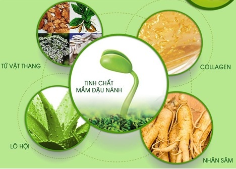 Nhiều thảo dược tốt nhất trong tự nhiên được ghi nhận giúp phụ nữ trẻ hơn