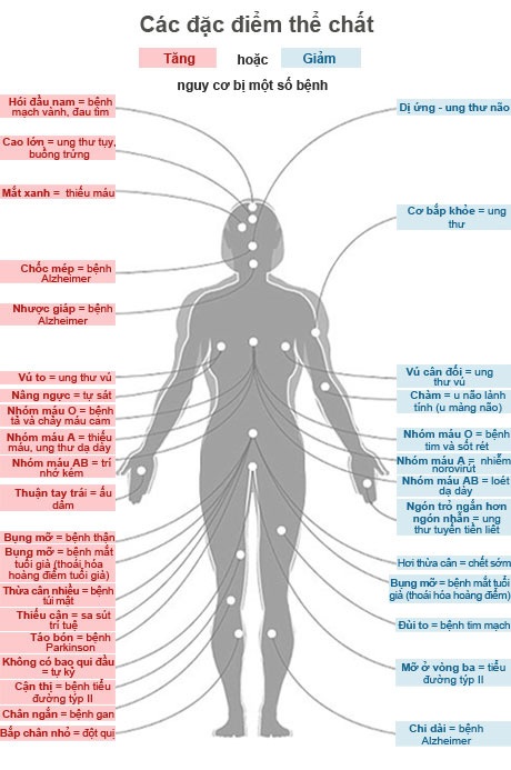 Tìm hiểu về cơ thể người và chức năng cơ bản