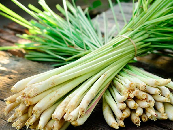 Tinh dầu sả có khả năng tiêu diệt ruồi (Ảnh: Internet)