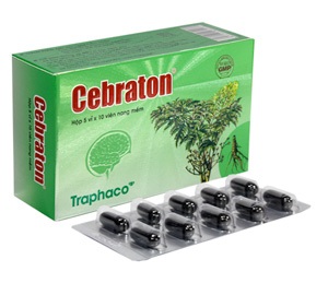 Cây đinh lăng - Dược liệu quý bồi bổ sinh lực và trí lực - 2 Cây đinh lăng - Dược liệu quý bồi bổ sinh lực và trí lực - 2