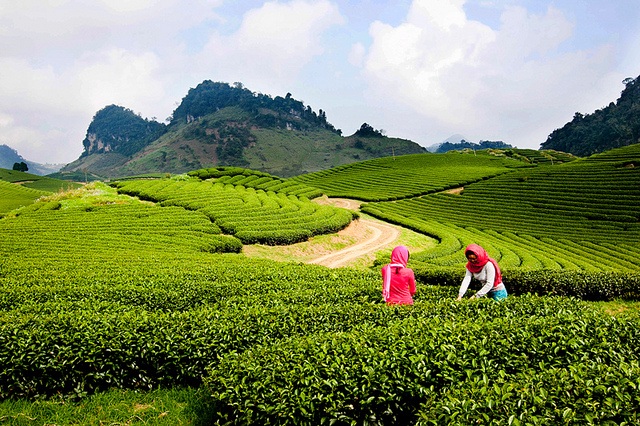 Những điểm đến hấp dẫn nhất miền bắc dịp 2/9 - 4 Những điểm đến hấp dẫn nhất miền bắc dịp 2/9 - 4