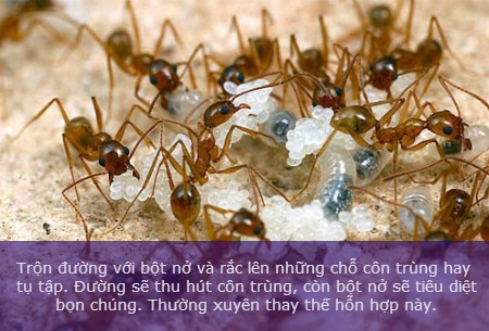 Tác dụng ngạc nhiên của đường ít người biết - 10