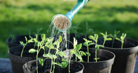 9 tác dụng không ngờ của bia - 2 9 tác dụng không ngờ của bia - 2