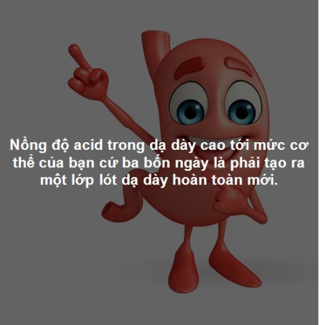 Những bí ẩn thú vị về cơ thể con người - 3 Những bí ẩn thú vị về cơ thể con người - 3
