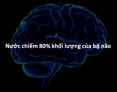 Những bí ẩn thú vị về cơ thể con người - 5 Những bí ẩn thú vị về cơ thể con người - 5