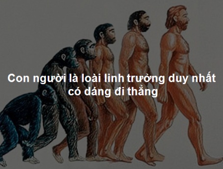 Những bí ẩn thú vị về cơ thể con người - 6 Những bí ẩn thú vị về cơ thể con người - 6