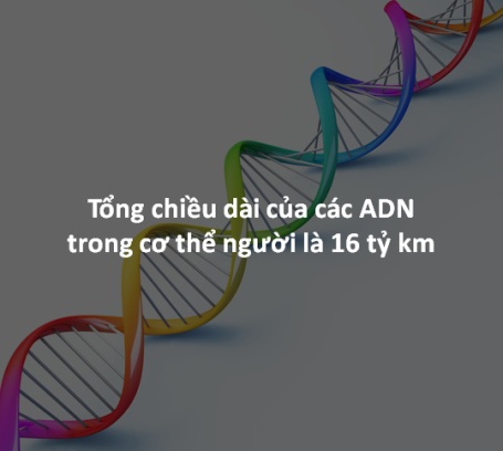 Những bí ẩn thú vị về cơ thể con người - 8 Những bí ẩn thú vị về cơ thể con người - 8