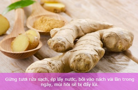 Mẹo đơn giản trị "viêm cánh" hữu hiệu - 2