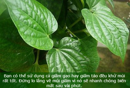 Mẹo đơn giản trị "viêm cánh" hữu hiệu - 3