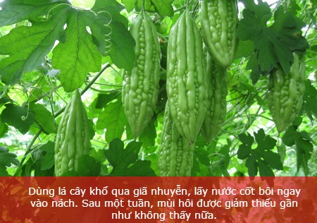 Mẹo đơn giản trị "viêm cánh" hữu hiệu - 9
