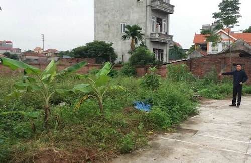 
Cận cảnh mảnh đất ma tại huyện Hoài Đức khiến người dân điêu đứng.
