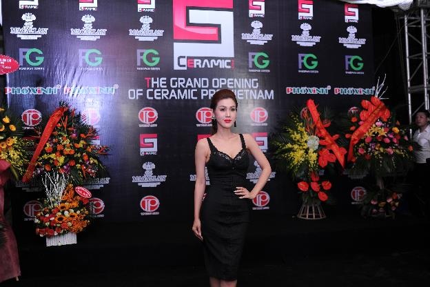 4 dinh phuong anh den