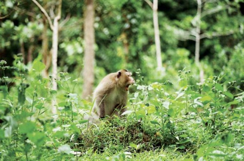 Những địa danh đẹp ngỡ ngàng ở Côn Đảo - 6 http://img.editor.vnecdn.net/photoeditor/2015/08/18/Con-dao_1439887742_1439887756.jpg