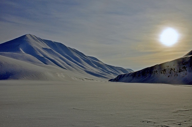 Svalbard – thiên đường nơi cực Bắc - 12 Svalbard – thiên đường nơi cực Bắc - 12