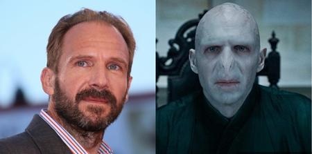 Chúa tể Voldemort là nhân vật phản diện chính trong bộ phim Harry Potter. Hắn có vẻ ngoài đáng sợ với đầu trọc như đầu rắn, hai mắt đỏ chóe và đặc biệt là không có mũi. Ralph Fiennes đã xuất sắc chứng minh tài năng diễn xuất đặc biệt của mình khi hóa thân thành “kẻ mà ai cũng biết là ai đấy” từ diện mạo cho tới từng cử chỉ, hành động.