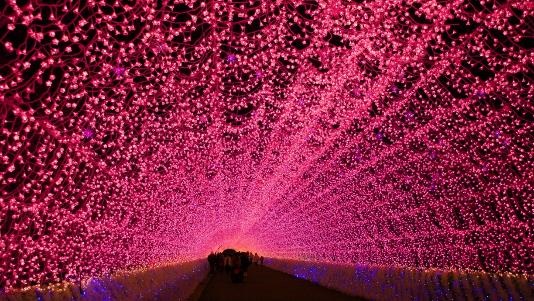 Những sự kiện hấp dẫn nhân dịp khai trương AEON MALL Long Biên - 2 Con đường lung linh huyền ảo từ hàng ngàn bóng đen hoa anh đào.