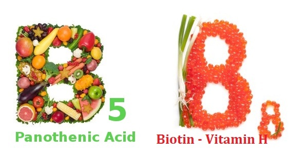 Rụng tóc đã lâu, liệu có kích thích tóc mọc trở lại? - 3 Biotin (Vitamin H) không thể thiếu trong điều trị rụng tóc