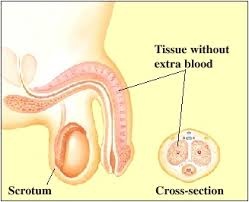 “Trên nói dưới không nghe": Cùng phe tuổi tác - 1 “Trên nói dưới không nghe": Cùng phe tuổi tác - 1