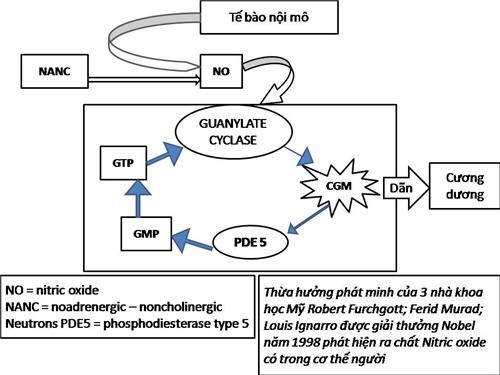 “Trên nói dưới không nghe": Cùng phe tuổi tác - 3 “Trên nói dưới không nghe": Cùng phe tuổi tác - 3