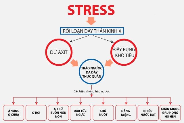 "Toàn cảnh" bệnh trào ngược dạ dày thực quản - 1
Stress là 1 trong những nguyên nhân gây bệnh trào ngược dạ dày thực quản