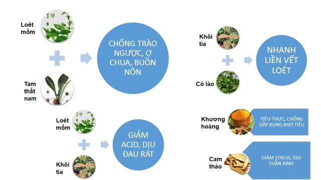 "Toàn cảnh" bệnh trào ngược dạ dày thực quản - 2
Cơ chế giảm trào ngược, khỏe dạ dày của bài thuốc Đông y 6 thành phần