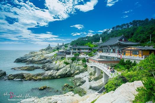 Chạm tay vào tuyết trắng ở xứ sở kim chi - 3