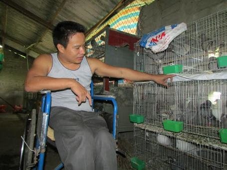 "Phế nhân" vắt hàng trăm triệu đồng từ đất cằn sỏi đá - 1 "Phế nhân" vắt hàng trăm triệu đồng từ đất cằn sỏi đá - 1