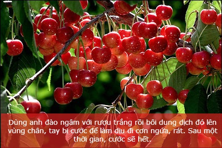 Mẹo phòng tránh và chữa cước tay chân mùa lạnh - 2 Mẹo phòng tránh và chữa cước tay chân mùa lạnh - 2