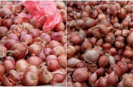 Nhận biết các loại củ xuất xứ Trung Quốc - 2 Hành ta Trung Quốc (hình trái) thường to hơn hành ta Việt Nam (hình phải) (Ảnh:Internet)