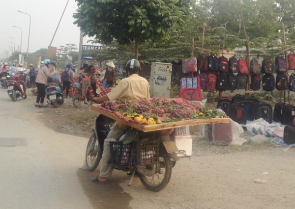 
Hầu hết các loại nho bán dong trên đường đều là nho Trung Quốc (Ảnh: Nhữ Trang)
