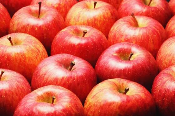 16 thực phẩm "đối phó" hữu hiệu với bệnh tật - 14