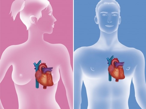 Dự báo nguy cơ ung thư da qua nốt ruồi tay phải - 2